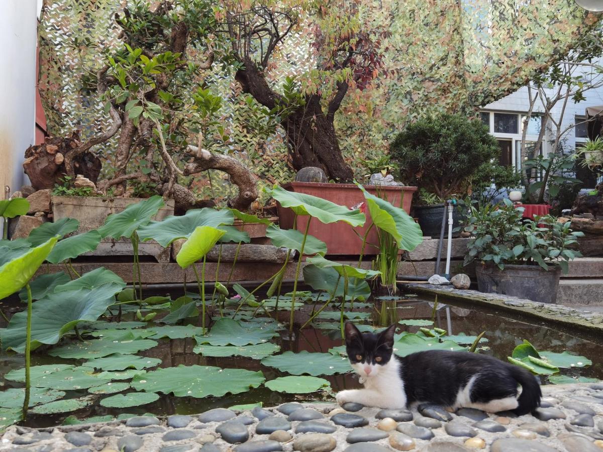 The Lily Pad Inn Дали Екстериор снимка
