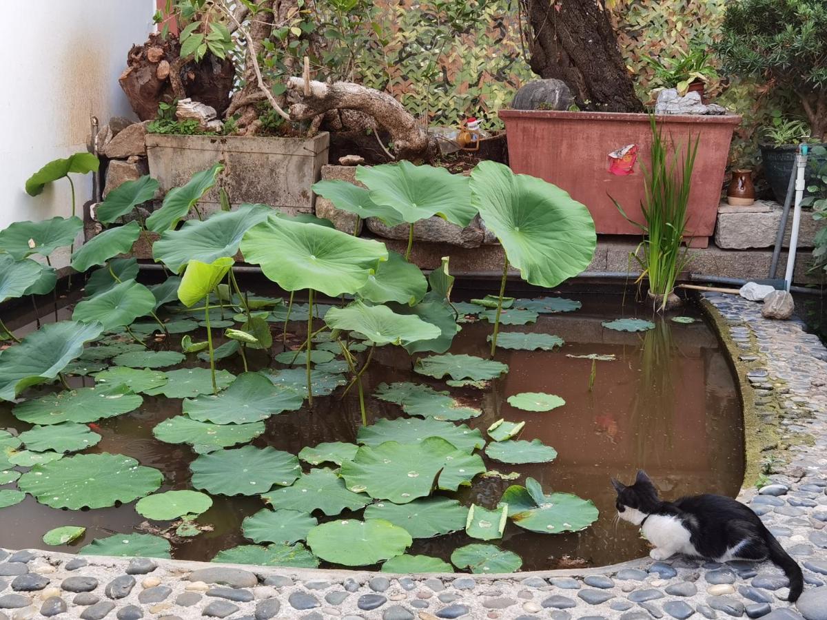 The Lily Pad Inn Дали Екстериор снимка