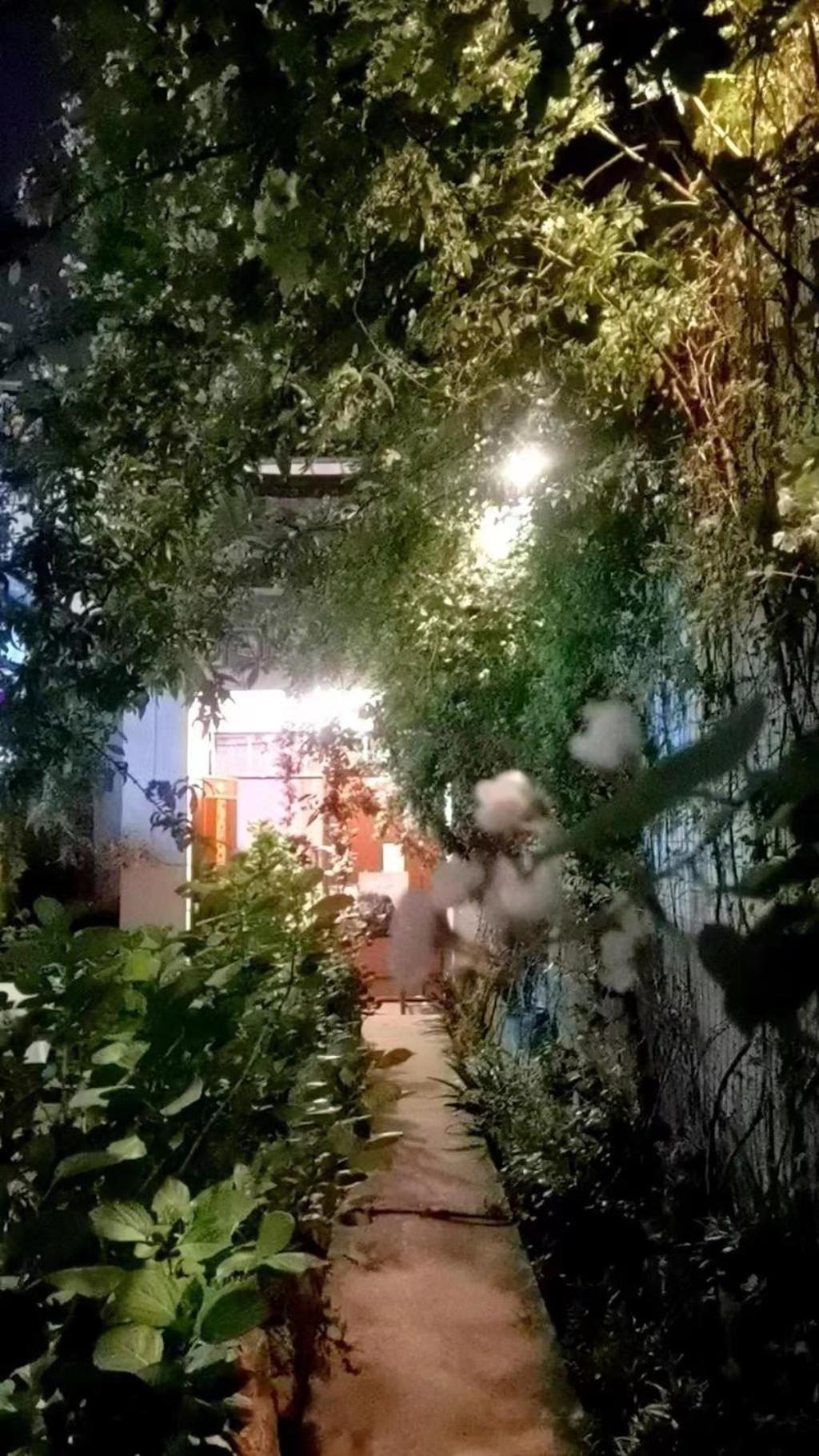 The Lily Pad Inn Дали Екстериор снимка